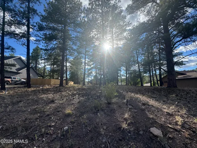 a view of a yard with a tree