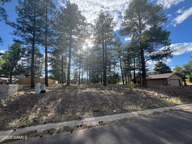 a view of a yard with a tree