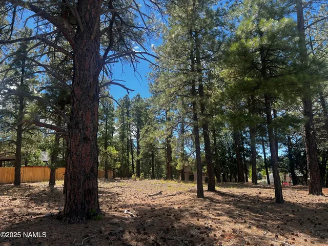 a view of road with trees