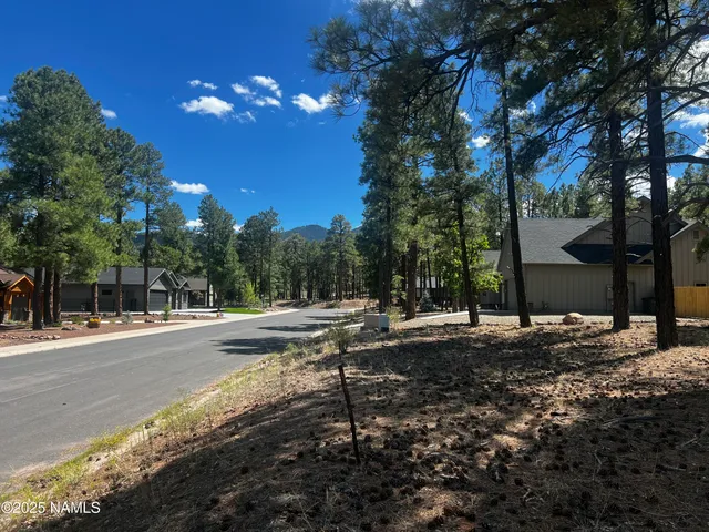 a view of a backyard of a house
