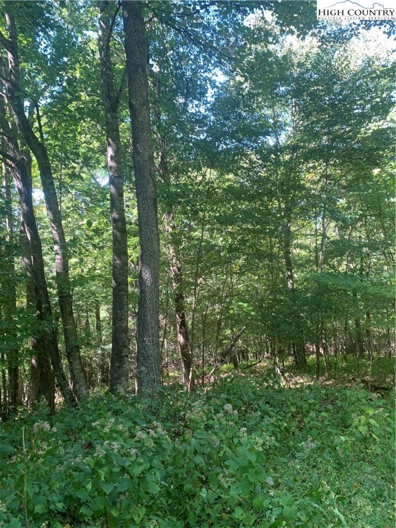 2313 Silas Creek Road Lansing, NC 28643 - Photo 5 of 7 Gallery Image 5
