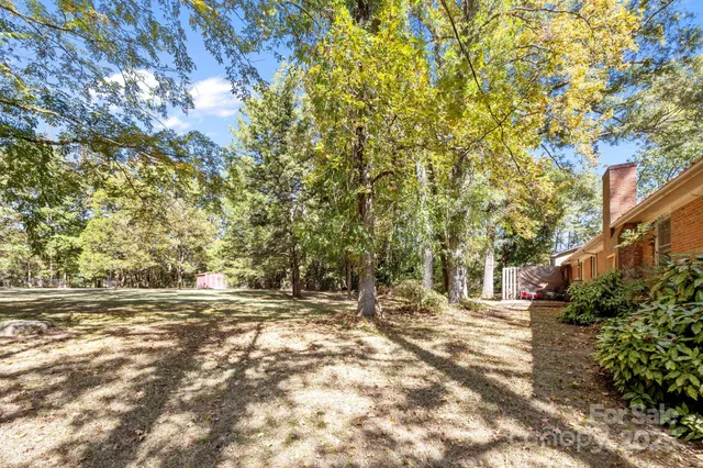 a view of outdoor space with deck and tree