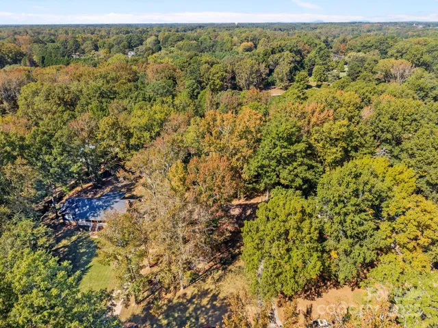 an aerial view of forest