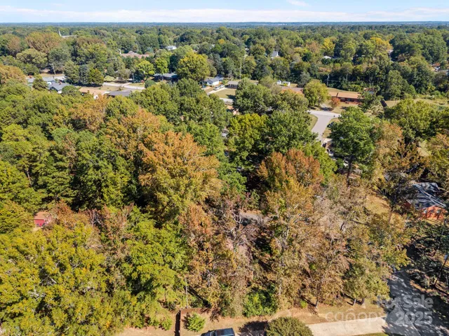 an aerial view of forest