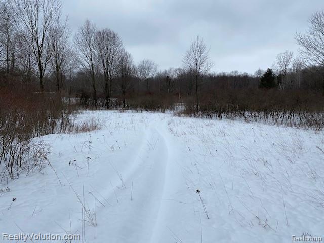 10-acres Ewalt Road Attica, MI 48412 - Photo 4 of 9 Gallery Image 4