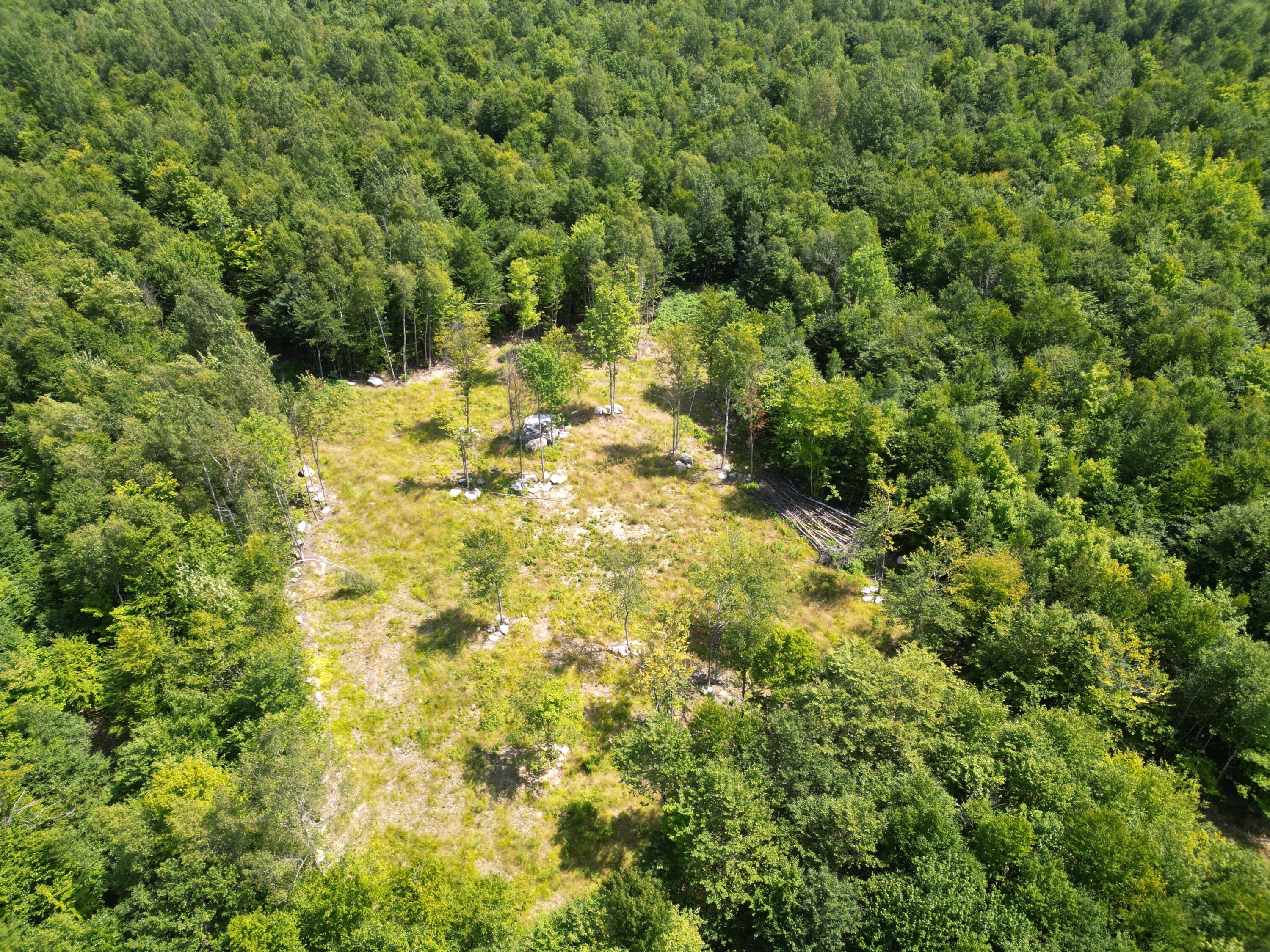 Lot 37 Dipper Pond Road Carroll Plt, ME 04487 - Photo 7 of 19 DJI_0884