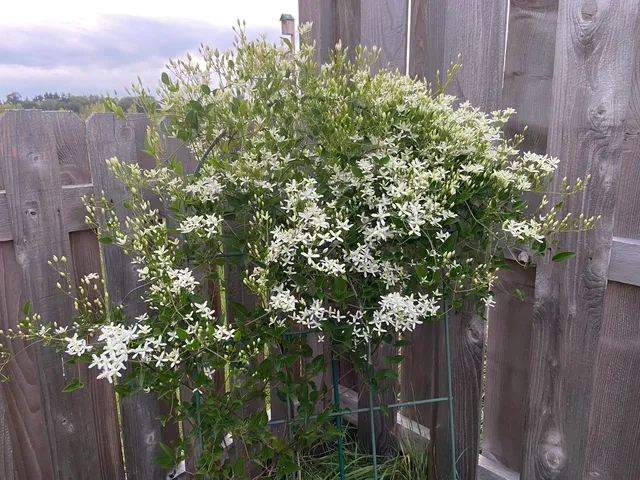 $224,900 | 4407 Klatt Street, Plano, IL 60545