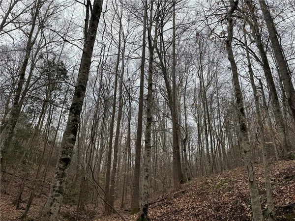 $750,000 | 3465 Highway 92, Enoree, SC 29335