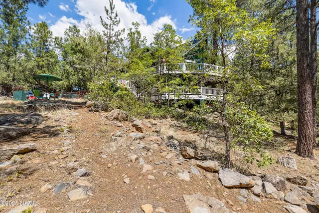 a view of a yard with plants and large trees