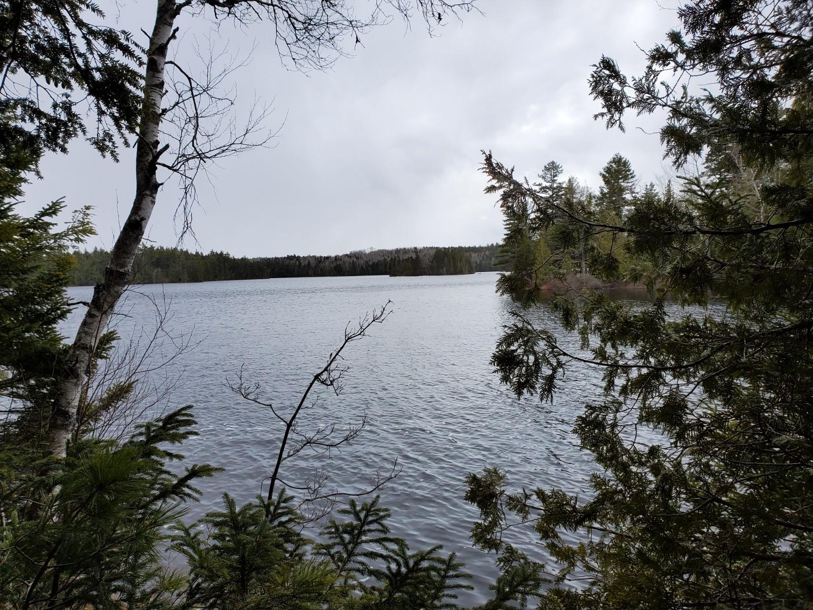 Lot 1 Deer Point Road Robbinston, ME 04671 - Photo 19 of 21 20200422_124012