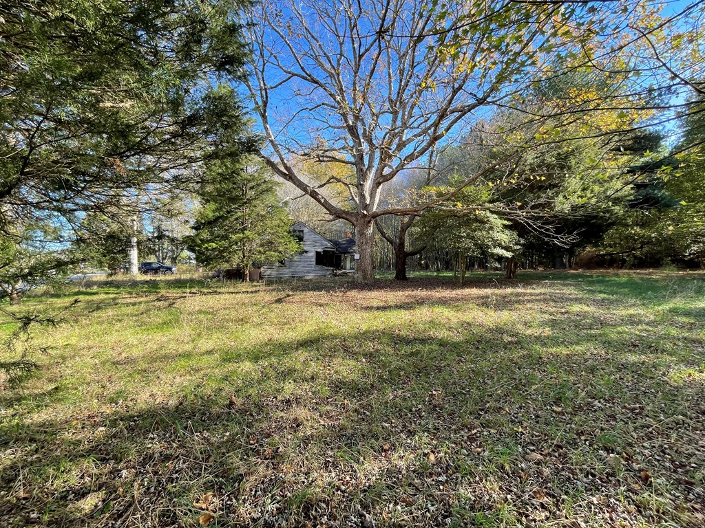 8-acres Redwood Road Onancock, VA 23417 - Photo 10 of 28