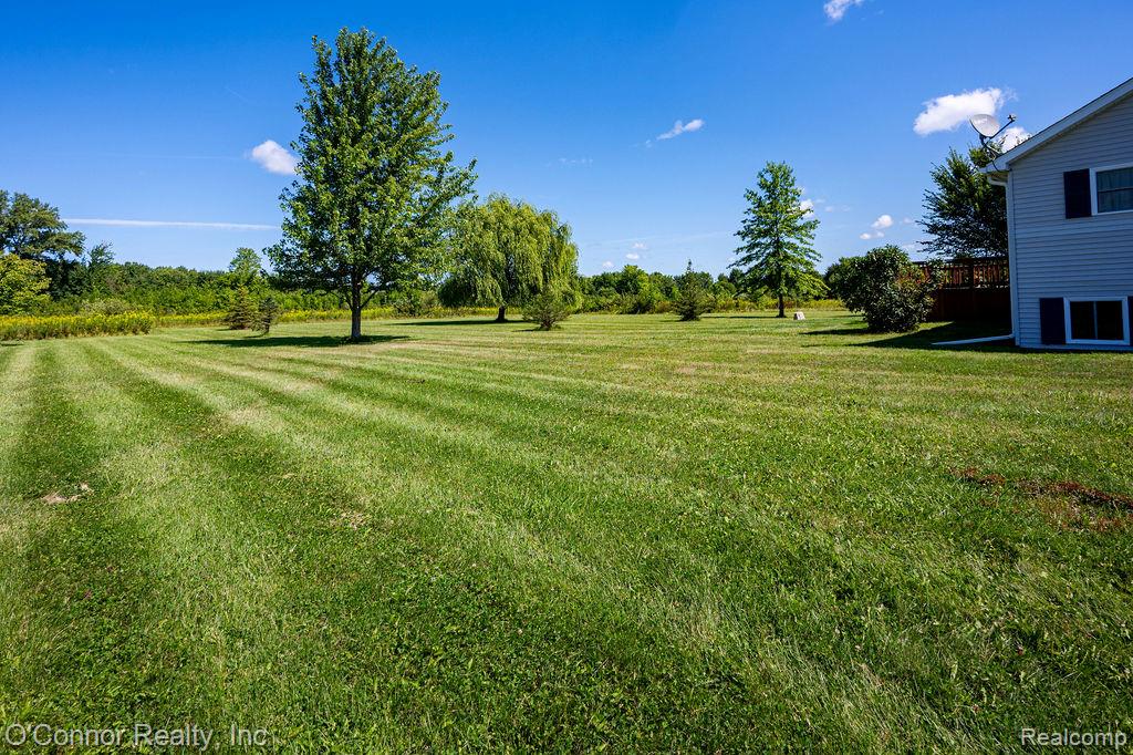 8552 Rynn Road Avoca, MI 48006 - Photo 29 of 35