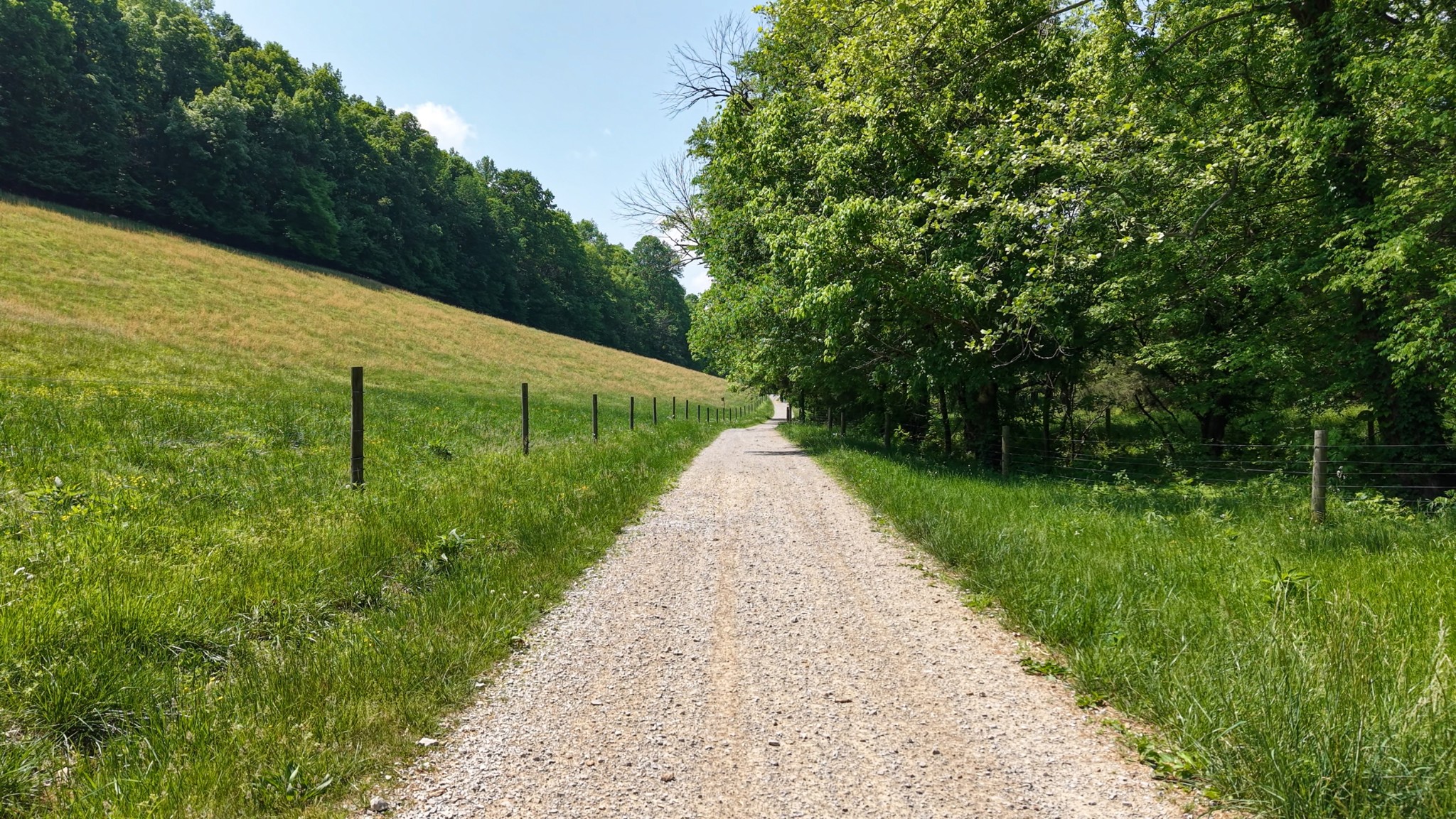 1355 Mitchell Road Pulaski, TN 38478 - Photo 87 of 97