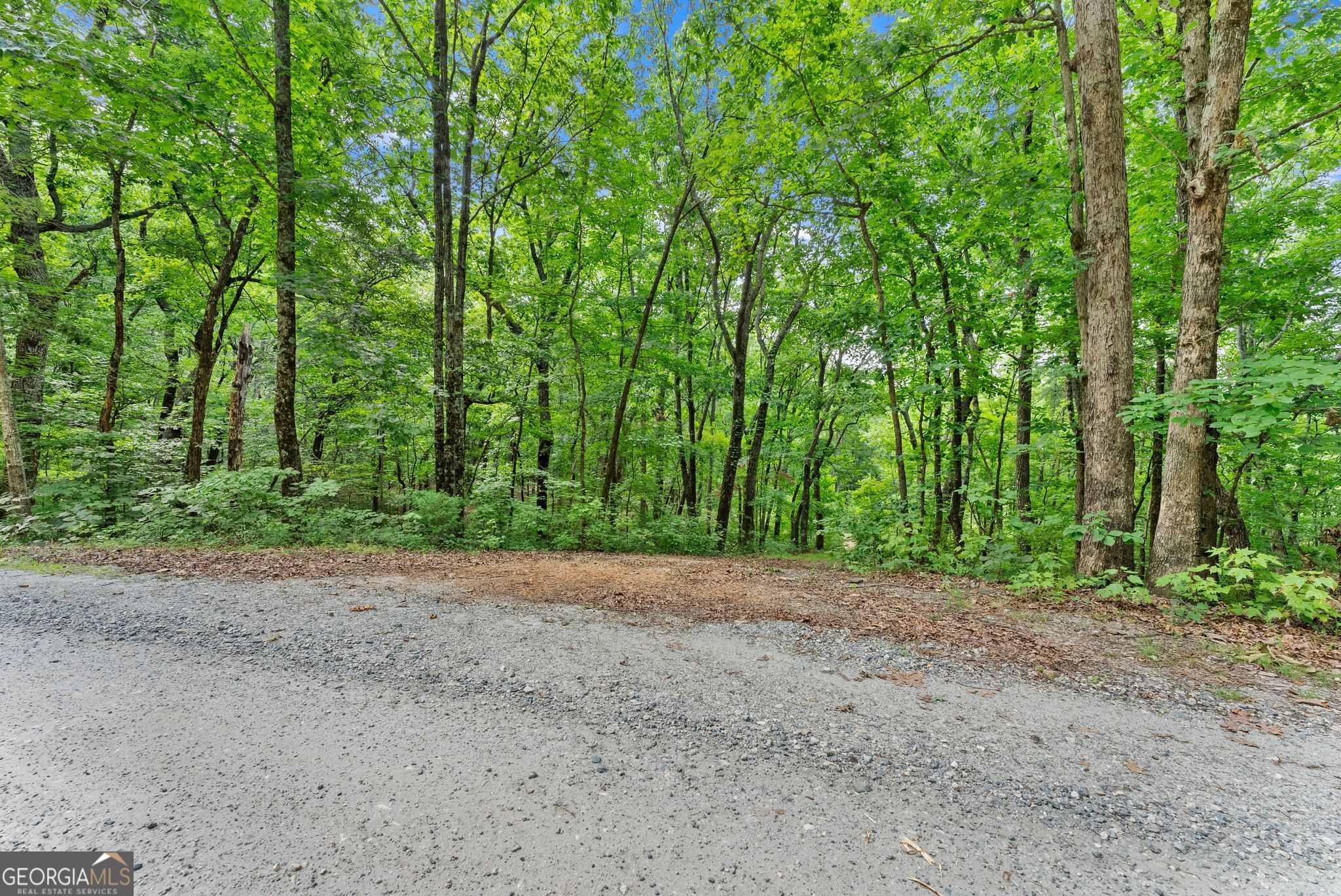 0 Wauka Ridge Road Clermont, GA 30527 - Photo 3 of 32