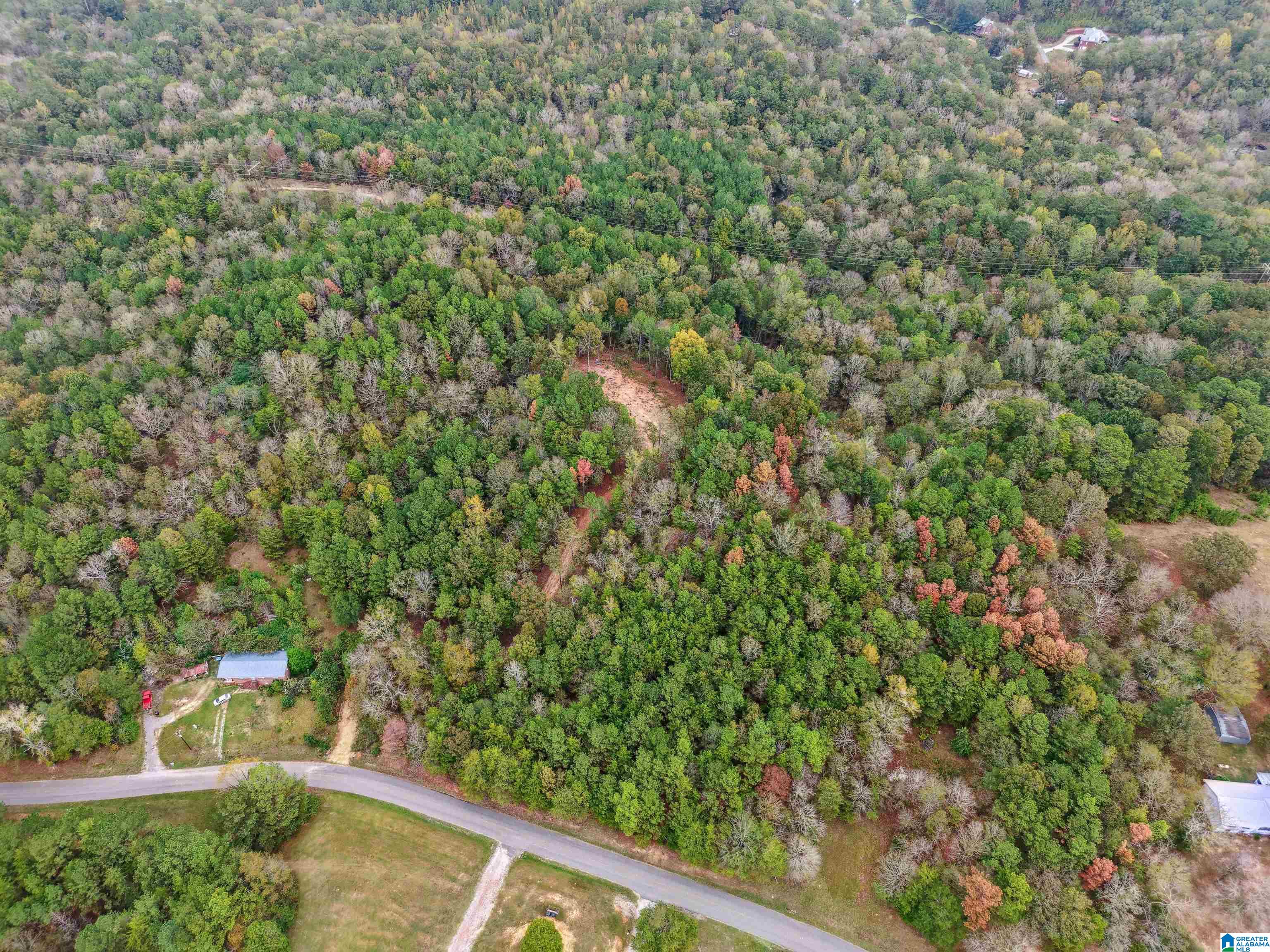 1215 Buddy Vines Camp Road Bessemer, AL 35023 - Photo 1 of 25