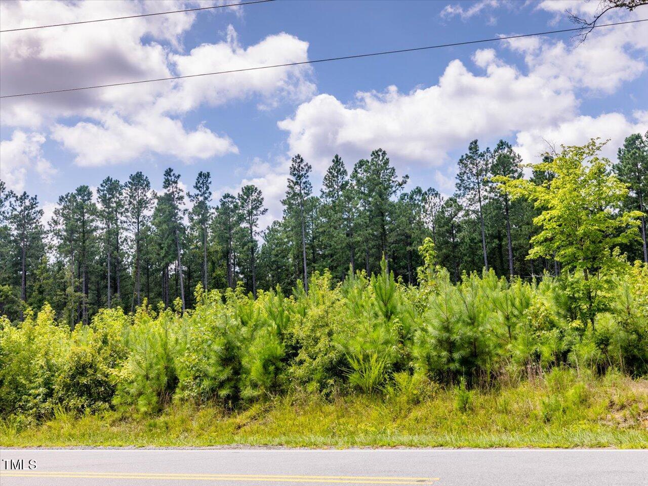 Tract A Chicken Bridge Road Chapel Hill, NC 27516 - Photo 19 of 22 19-019-ChickenBridgeRoad-TractA-20250815