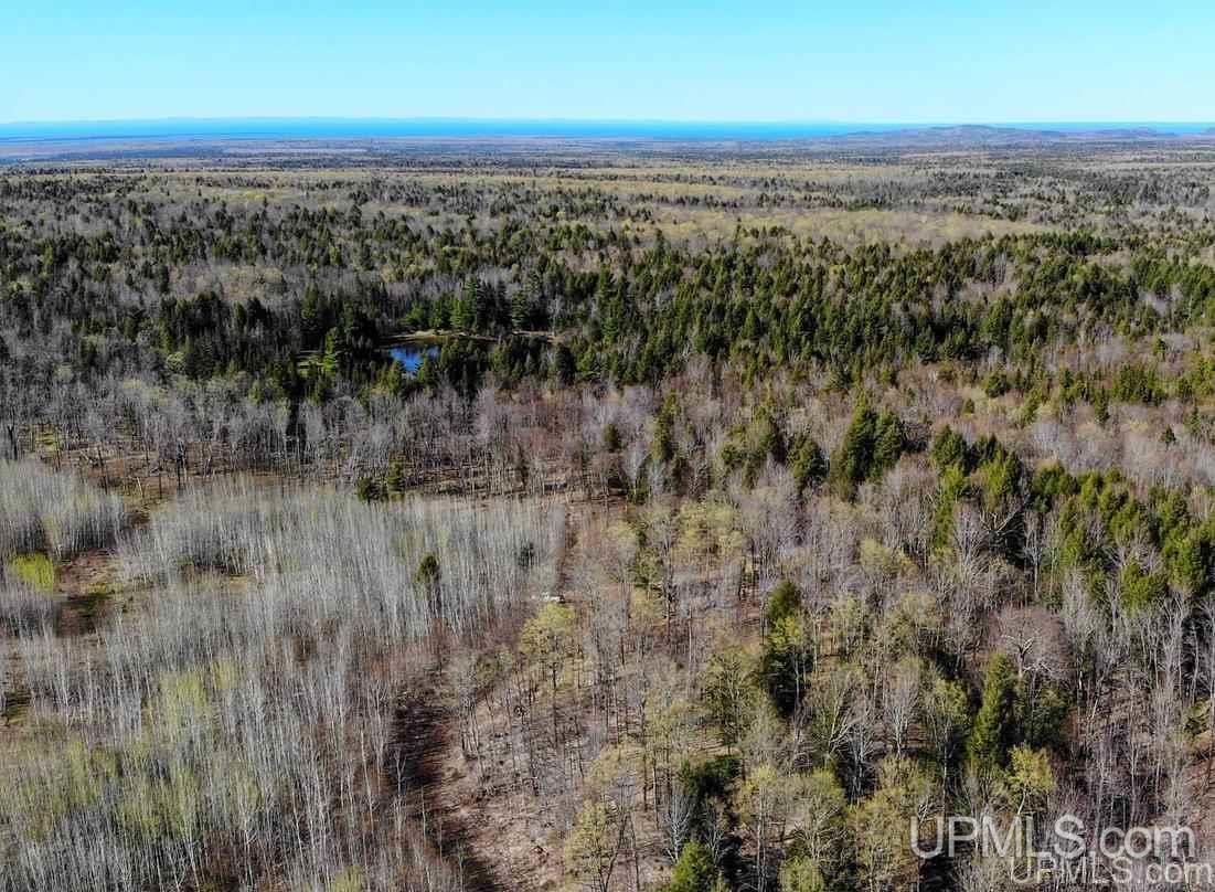 Tbd Off Ravine River Road Skanee, MI 49962 - Photo 1 of 20