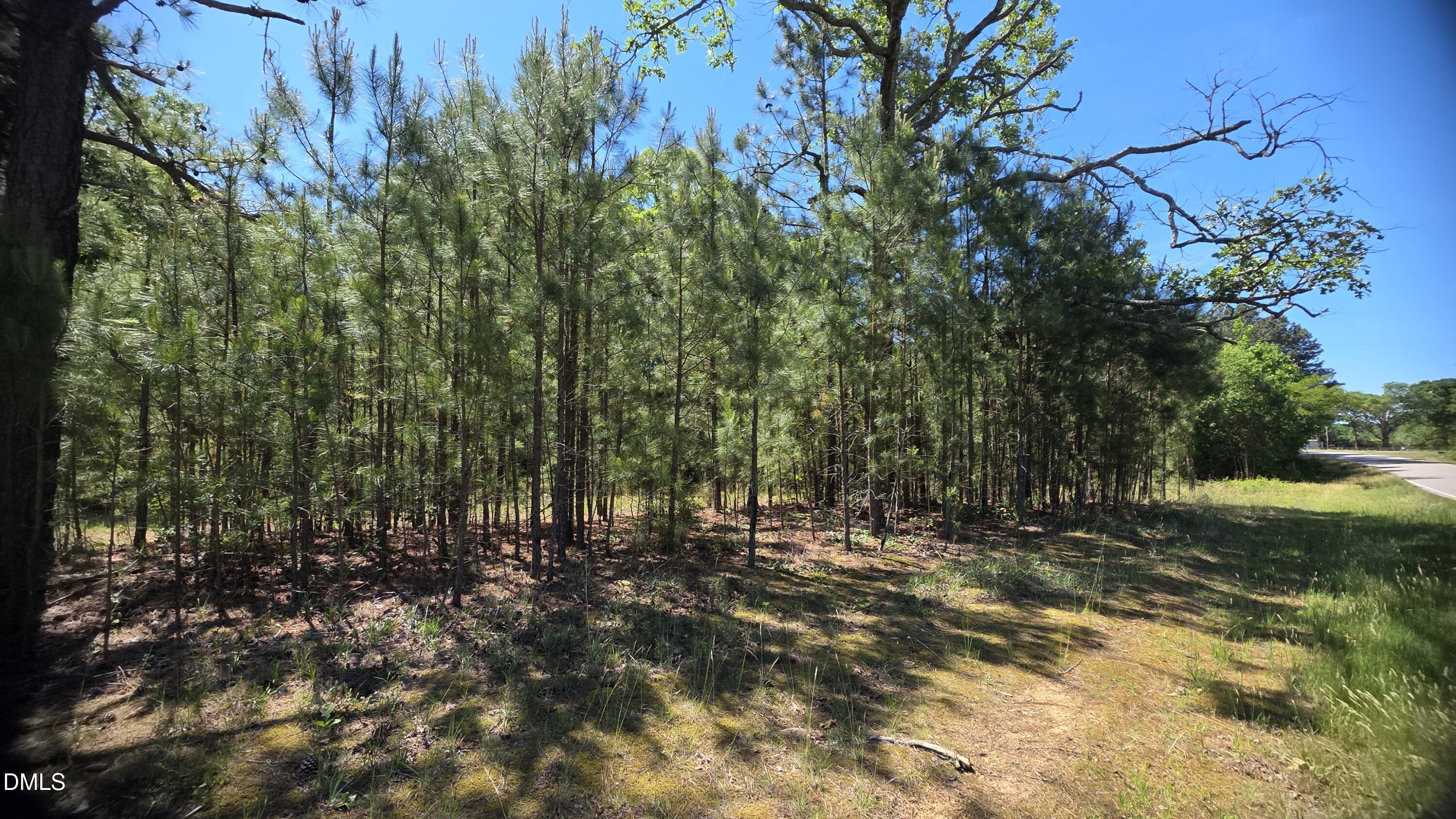352 Laurel Mill Road Louisburg, NC 27549 - Photo 1 of 10