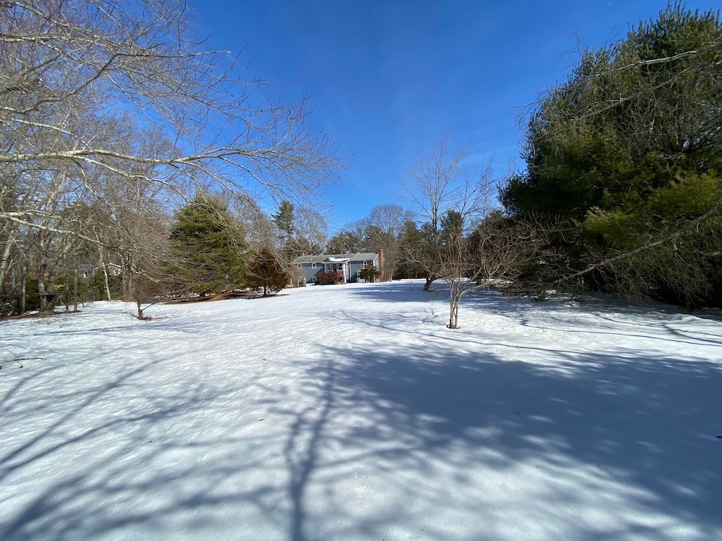 466 Gardiner Road Richmond, RI 02892 - Photo 44 of 48 Back of house as seen from back of yard.
