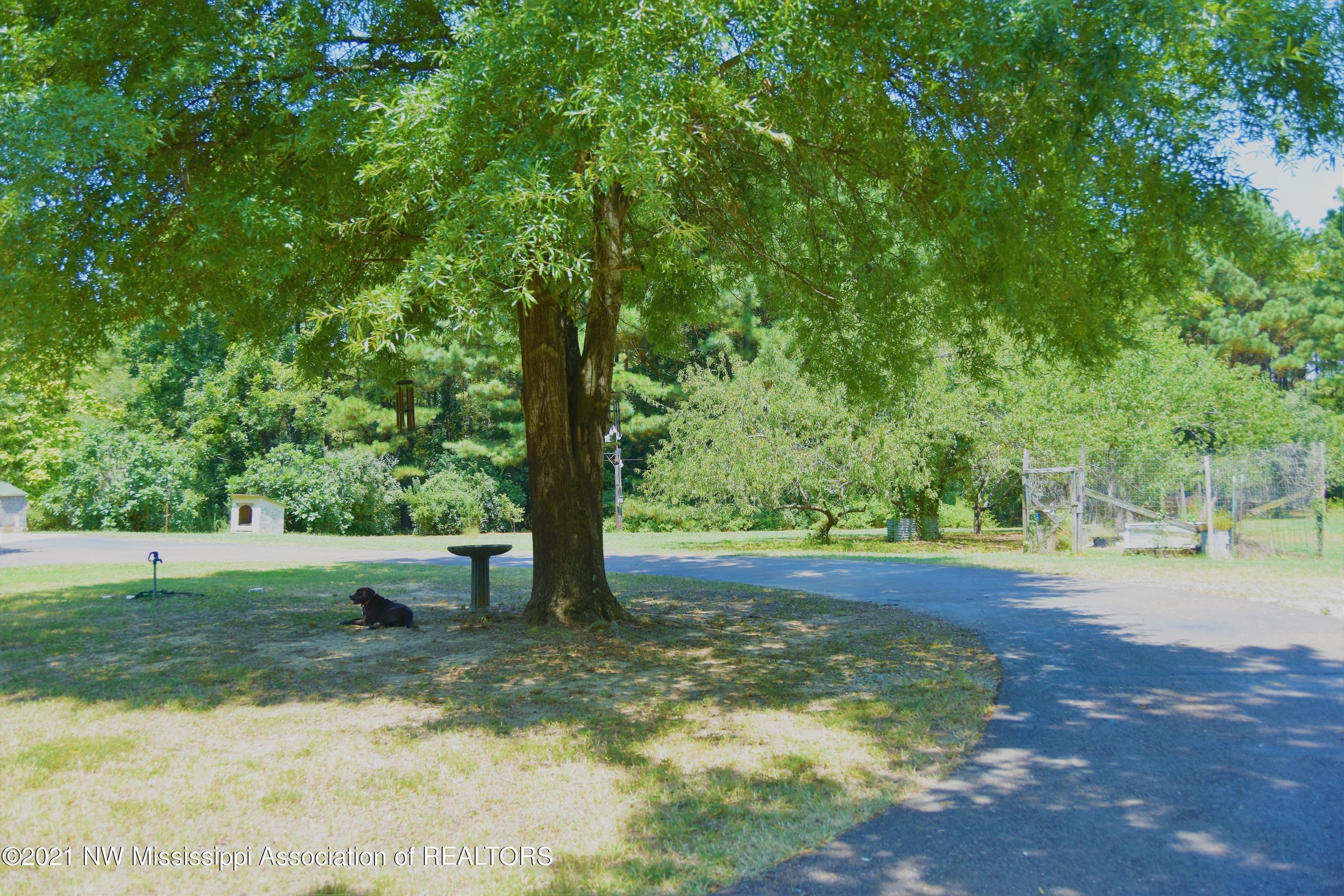 3394 Bend Road Coldwater, MS 38618 - Photo 11 of 48 2021-08-09 12.12.09