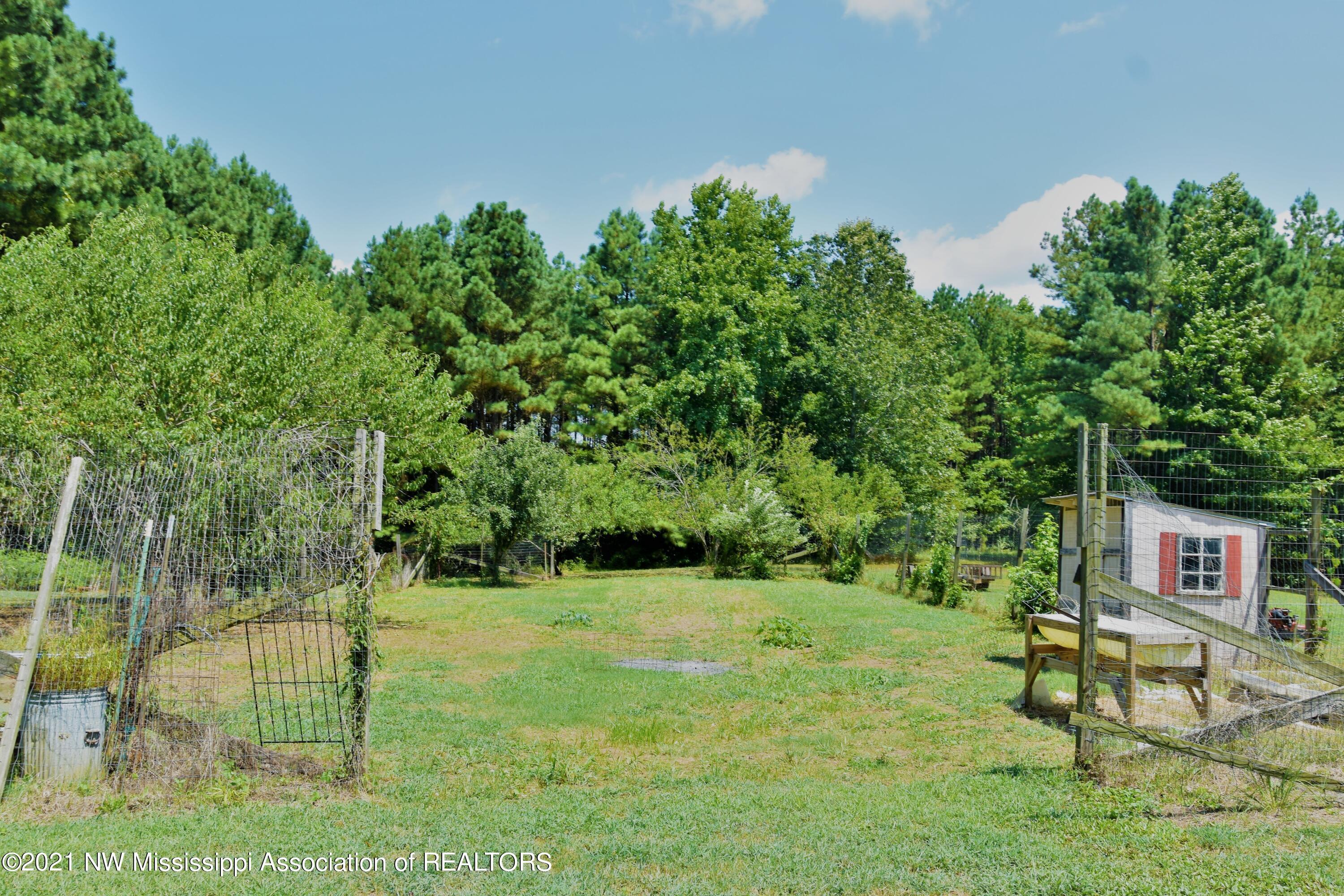 3394 Bend Road Coldwater, MS 38618 - Photo 33 of 48 2021-08-09 12.07.29