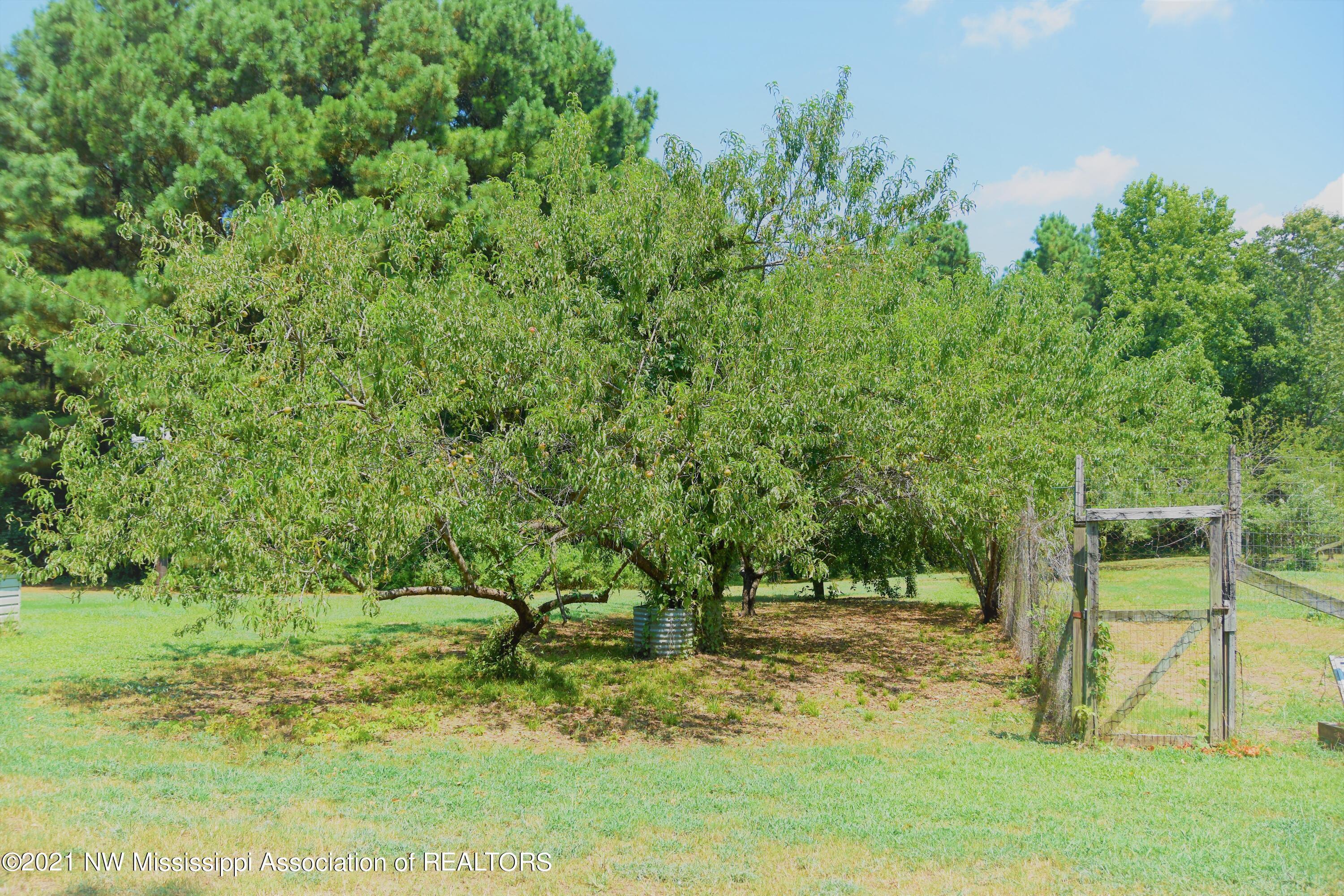 3394 Bend Road Coldwater, MS 38618 - Photo 34 of 48 2021-08-09 12.07.45