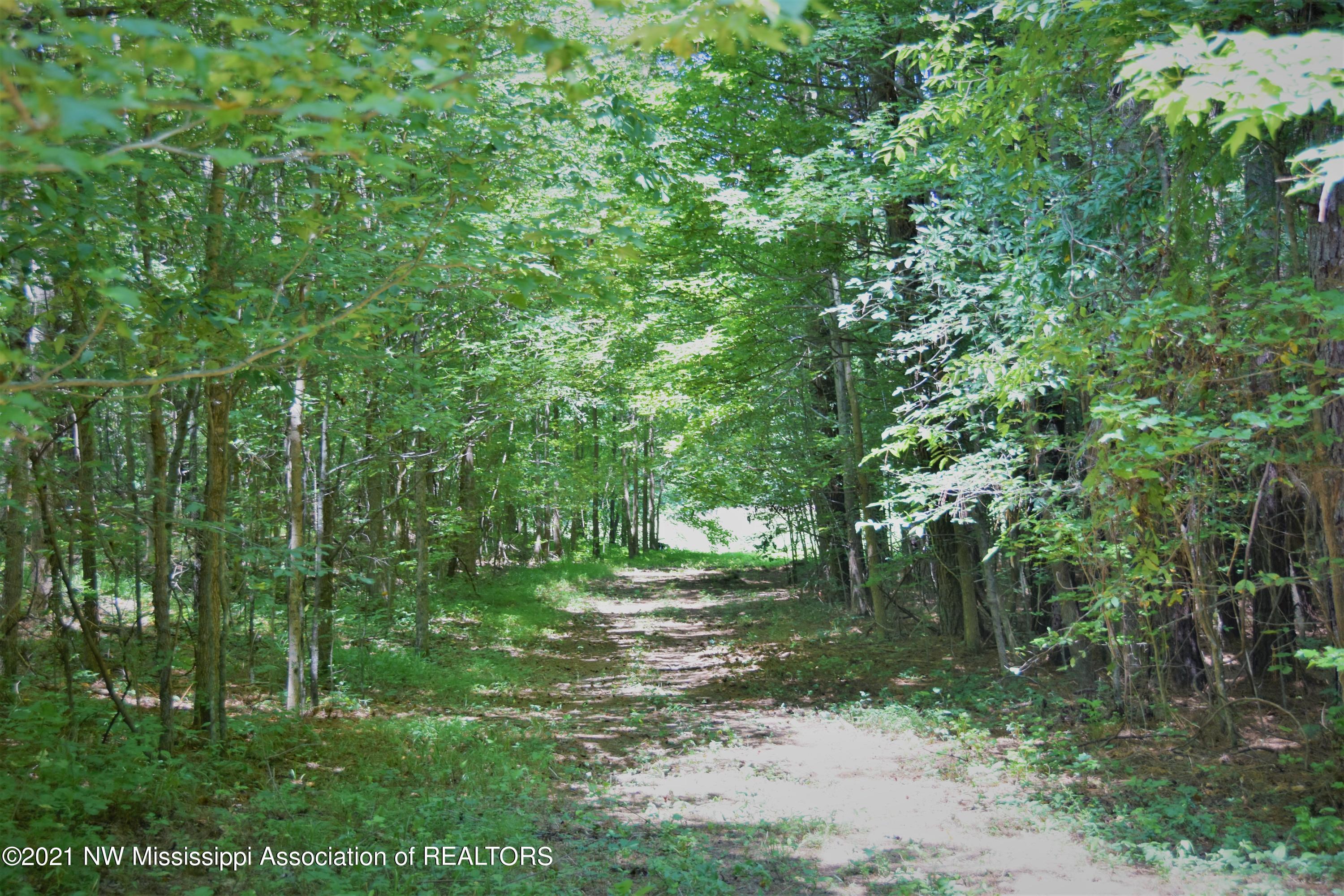 3394 Bend Road Coldwater, MS 38618 - Photo 40 of 48 2021-08-09 12.22.04