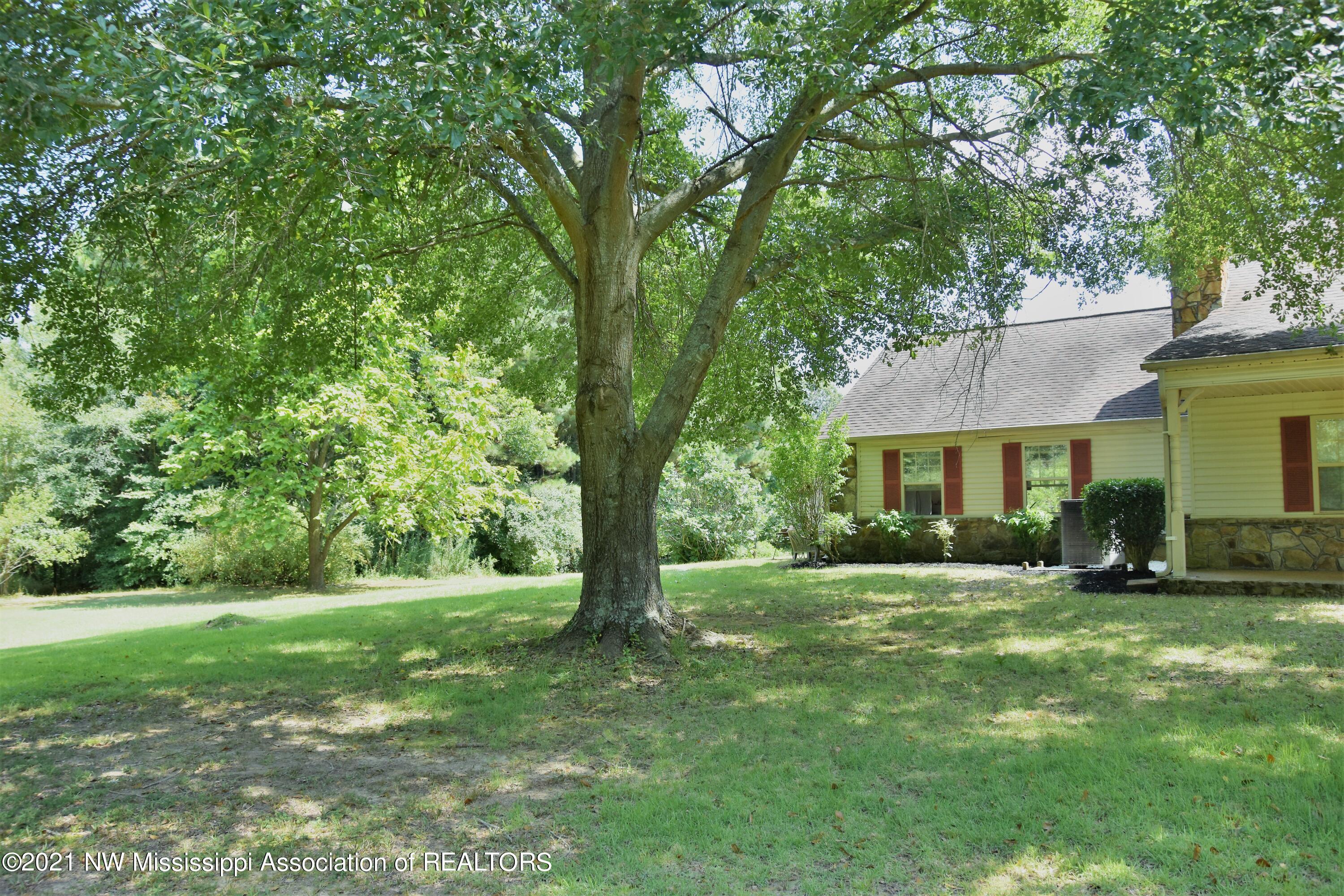 3394 Bend Road Coldwater, MS 38618 - Photo 4 of 48 2021-08-09 11.52.34