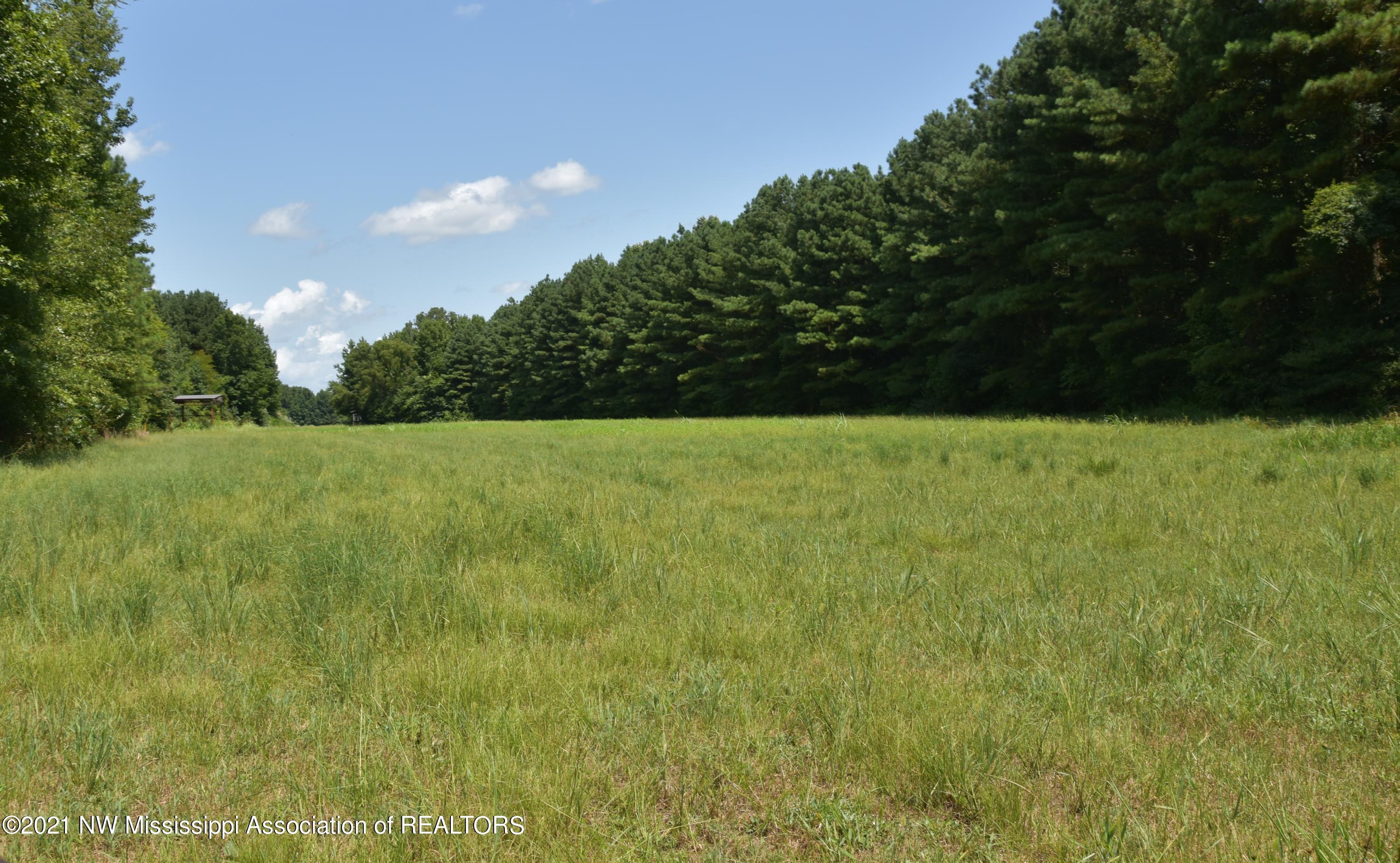 3394 Bend Road Coldwater, MS 38618 - Photo 41 of 48 2021-08-09 12.19.56