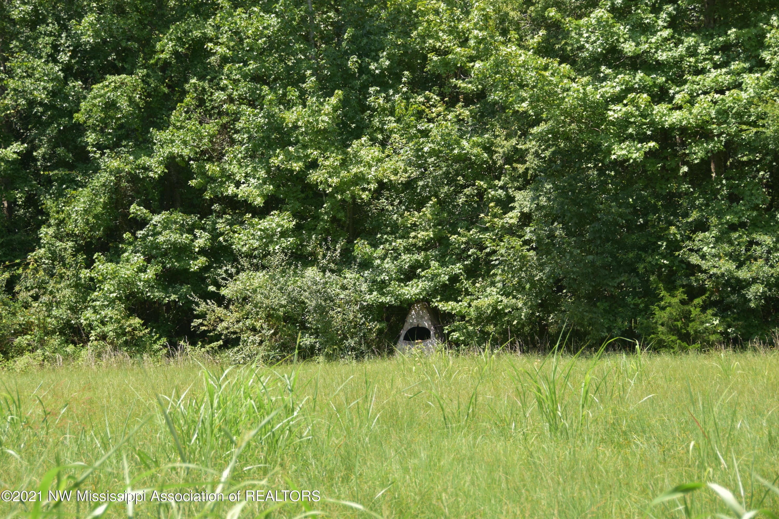 3394 Bend Road Coldwater, MS 38618 - Photo 42 of 48 2021-08-09 12.20.56