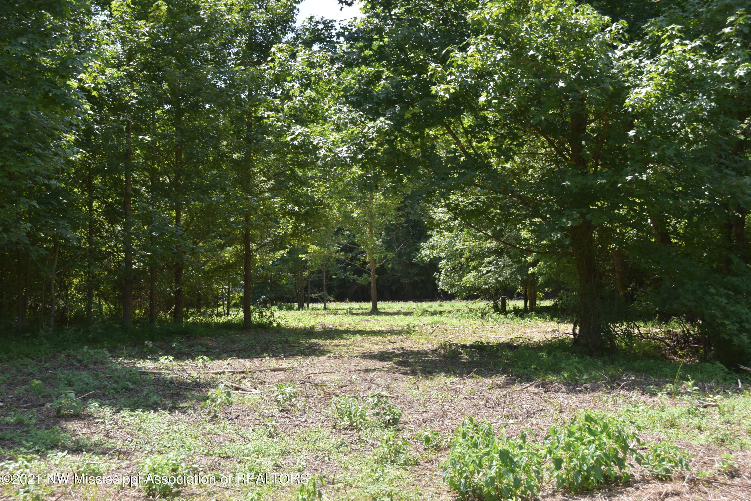 3394 Bend Road Coldwater, MS 38618 - Photo 43 of 48 2021-08-09 12.21.13