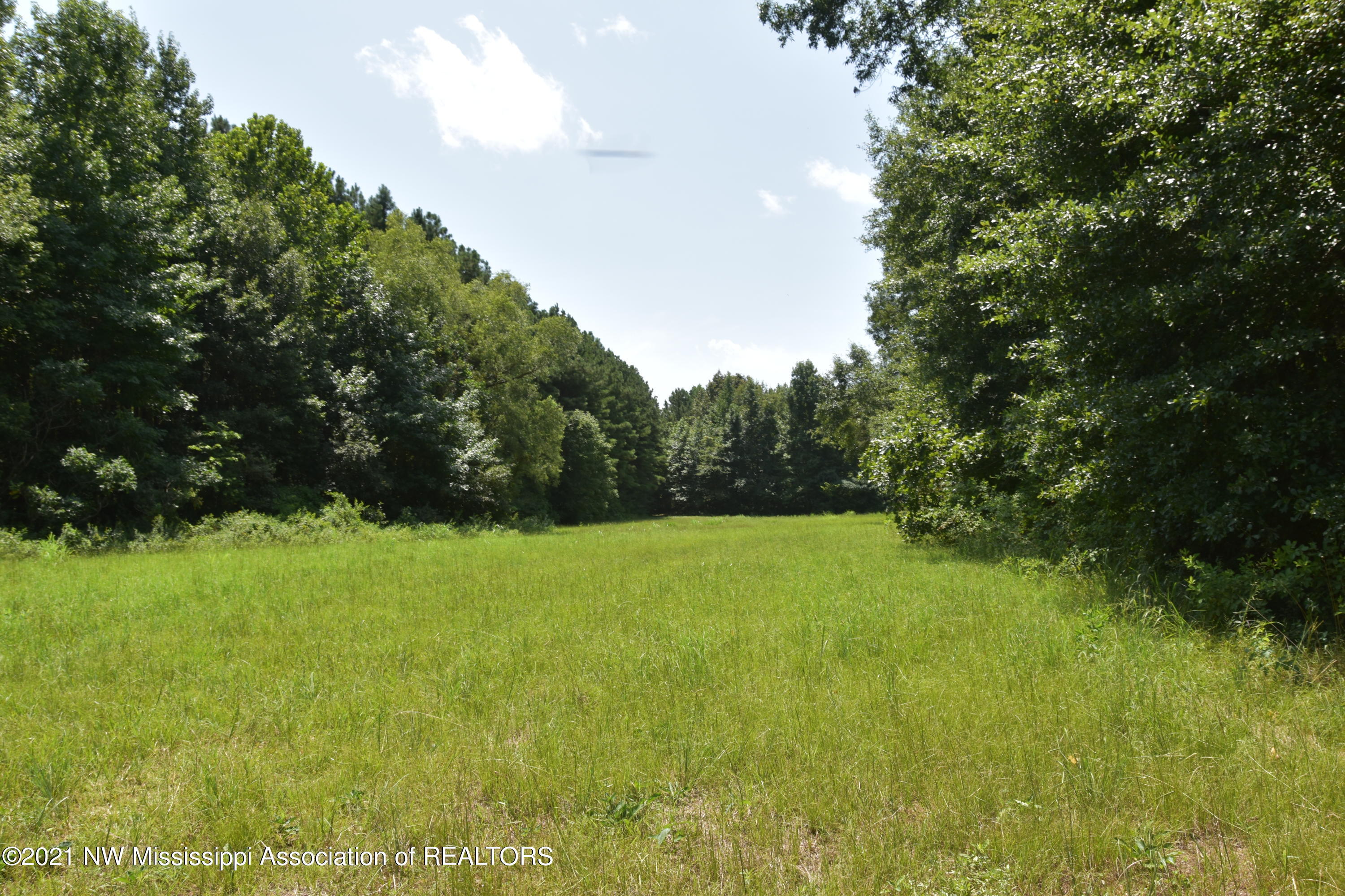 3394 Bend Road Coldwater, MS 38618 - Photo 44 of 48 2021-08-09 12.19.51