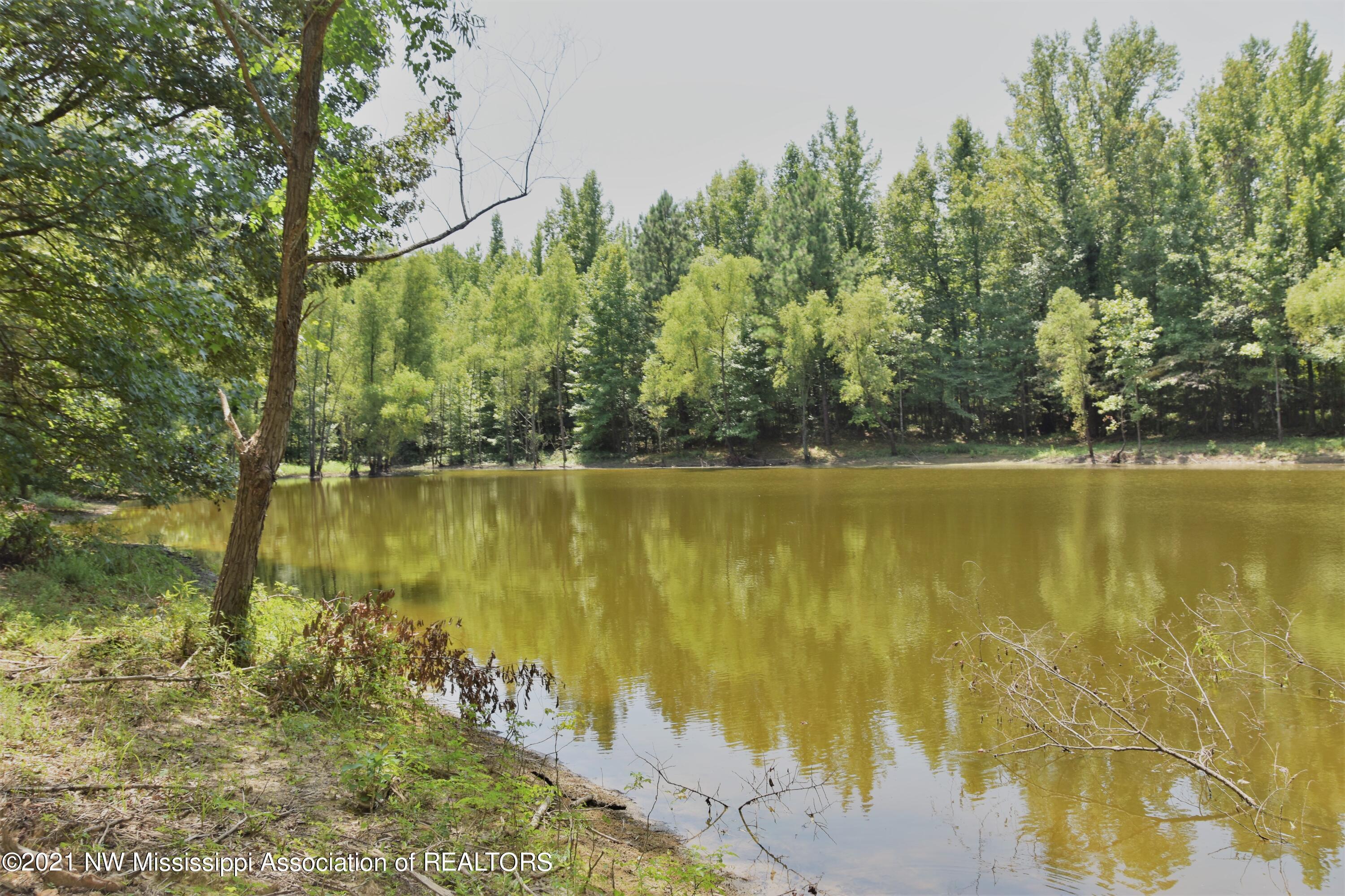 3394 Bend Road Coldwater, MS 38618 - Photo 46 of 48 2021-08-09 12.25.21