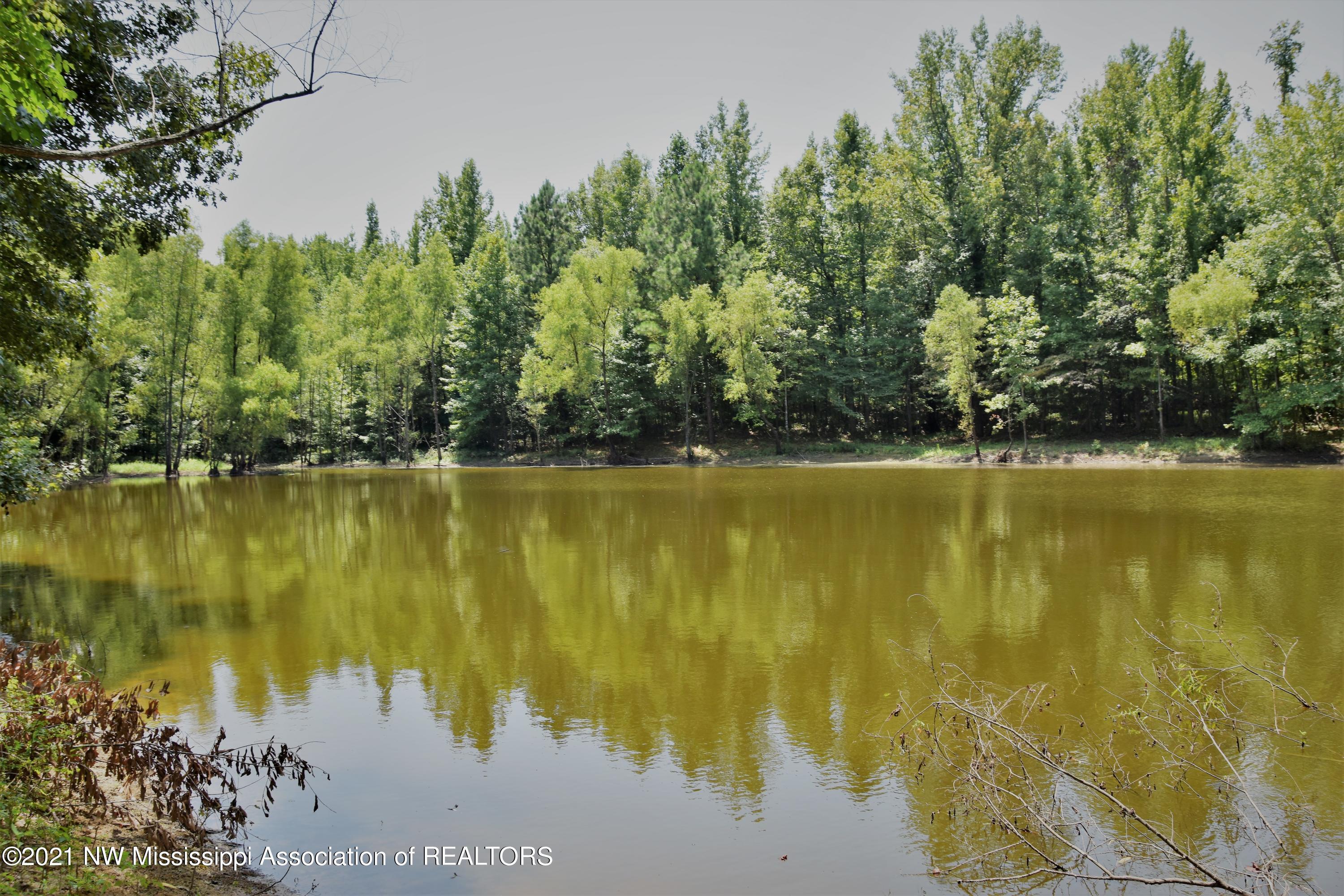 3394 Bend Road Coldwater, MS 38618 - Photo 47 of 48 2021-08-09 12.25.35