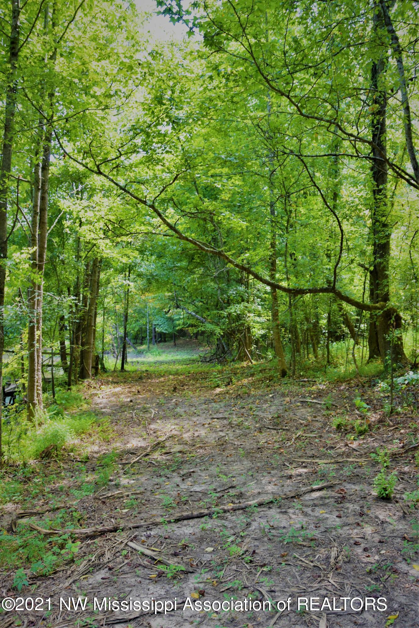 3394 Bend Road Coldwater, MS 38618 - Photo 48 of 48 2021-08-09 12.23.43