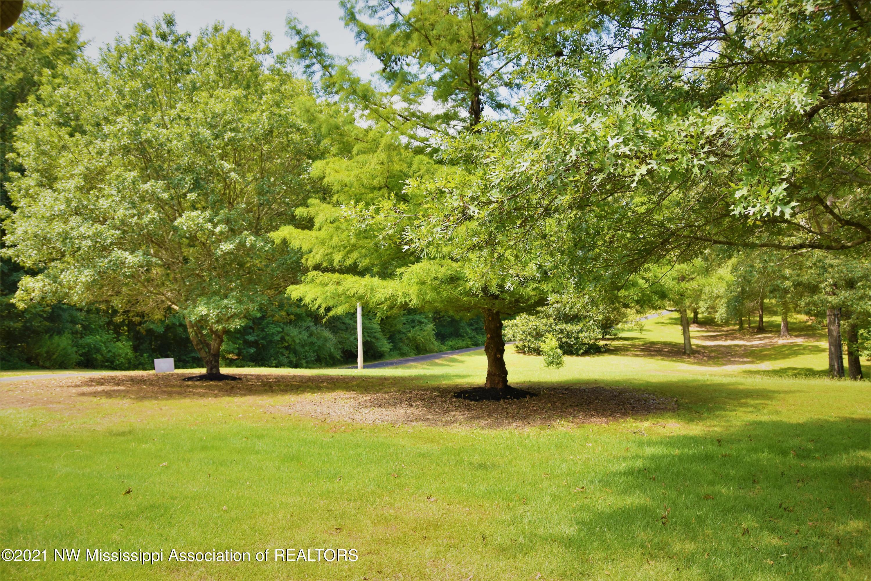 3394 Bend Road Coldwater, MS 38618 - Photo 6 of 48 2021-08-09 11.49.48
