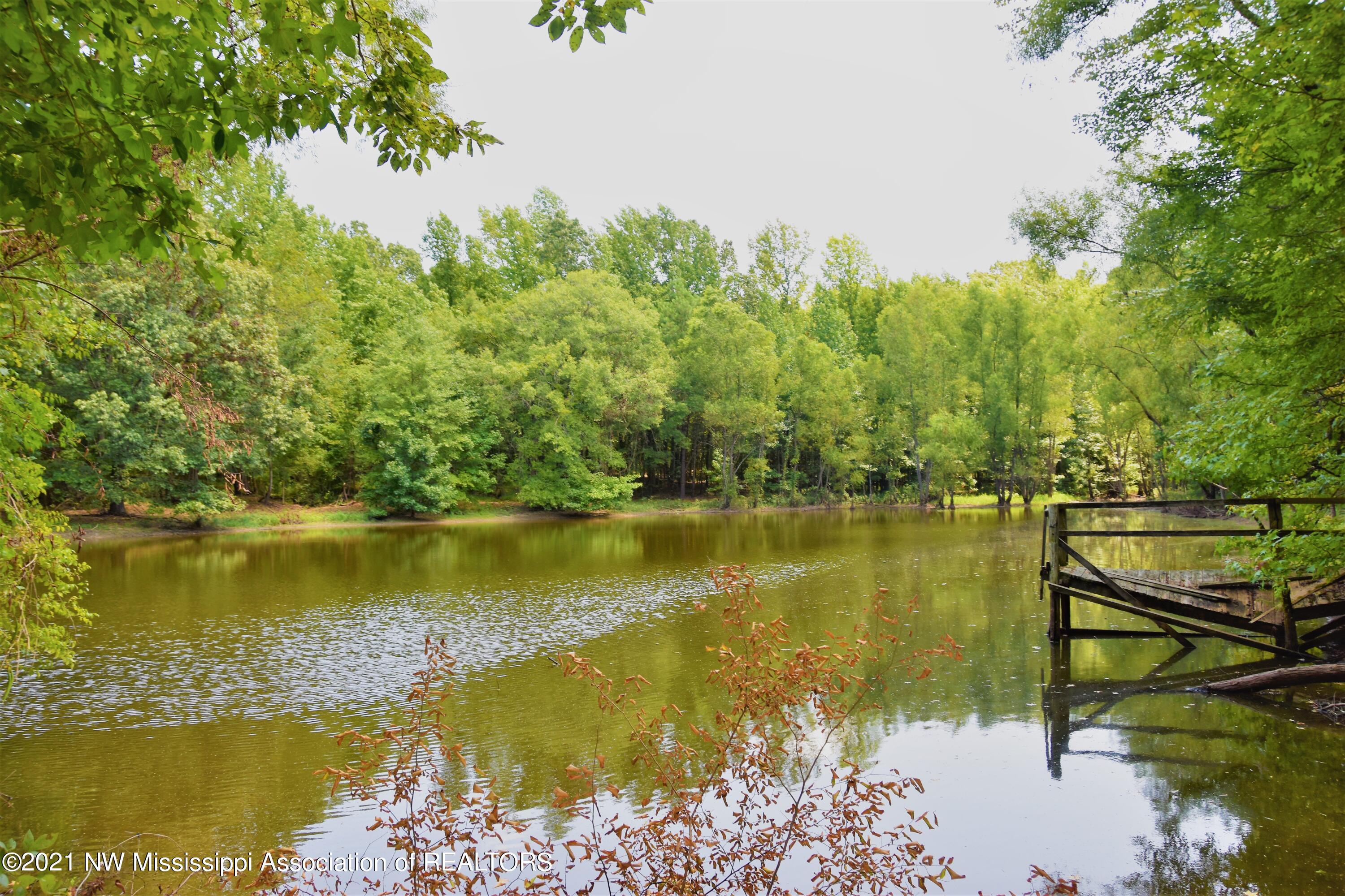 3394 Bend Road Coldwater, MS 38618 - Photo 7 of 48 2021-08-09 12.23.13