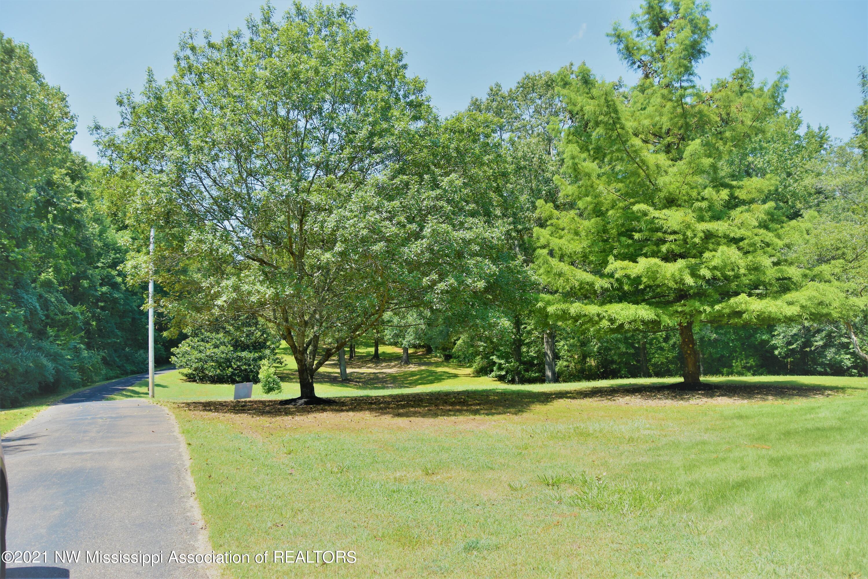3394 Bend Road Coldwater, MS 38618 - Photo 9 of 48 2021-08-09 12.10.49
