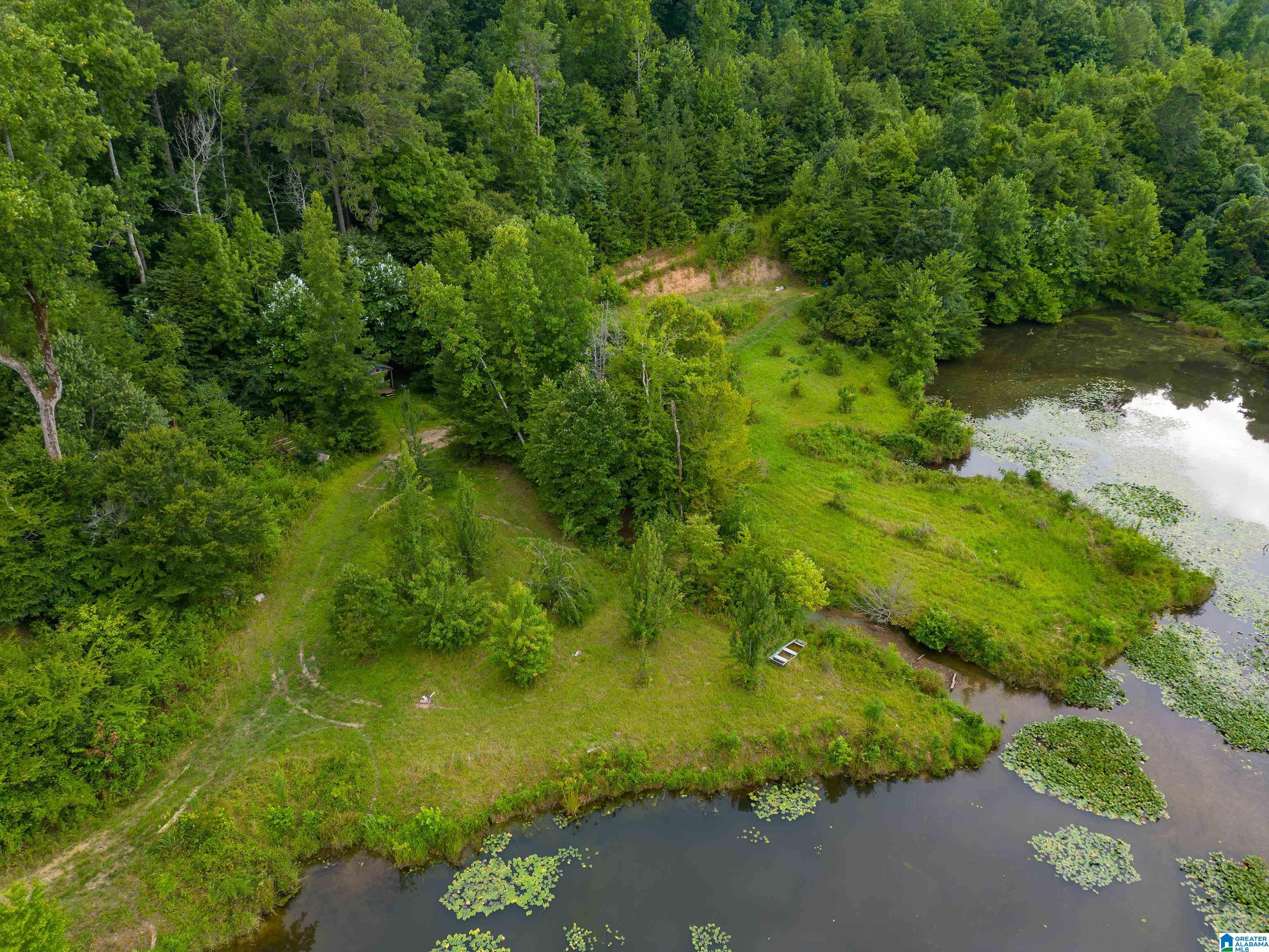 81 Frozen Hollow Road, Unit 32 Carbon Hill, AL 35549 - Photo 32 of 42