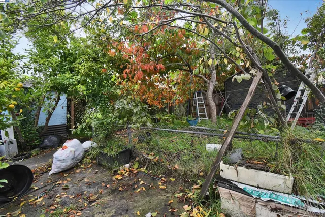 a backyard of a house with lots of green space