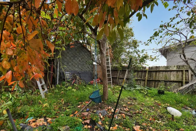 a backyard of a house with lots of green space