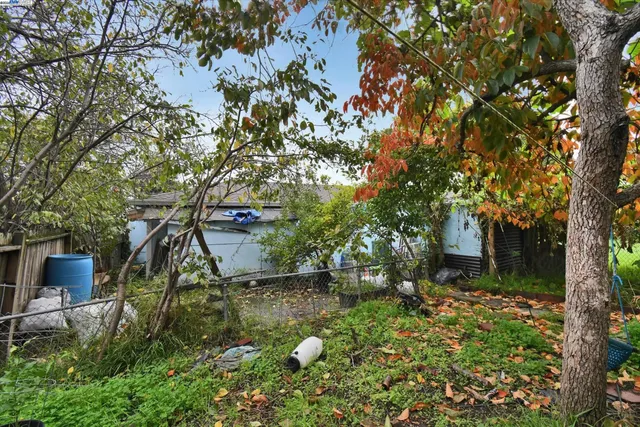 a backyard of a house with lots of green space