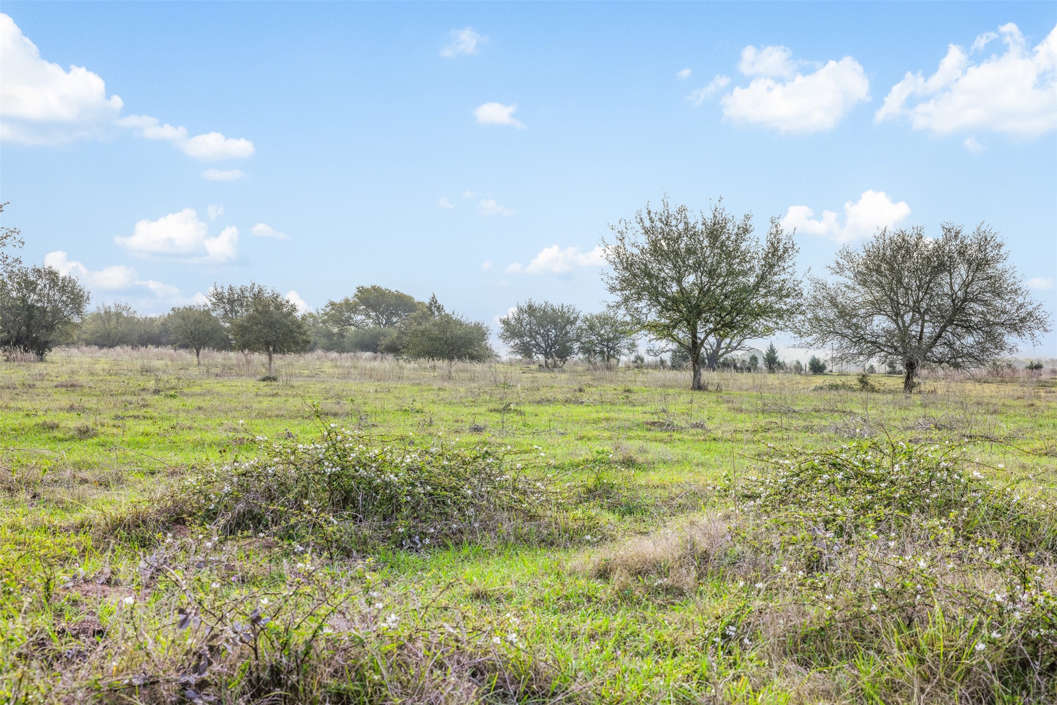 1017 New Ulm Road Cat Spring, TX 78933 - Photo 7 of 25
