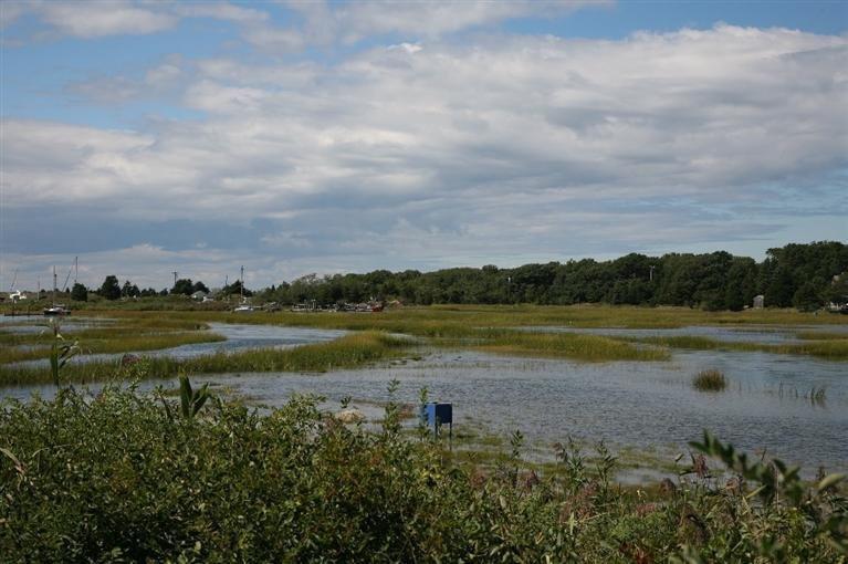 137 Rock Harbor Road, Unit 5 Orleans, MA 02653 - Photo 12 of 13 a view of lake with green space