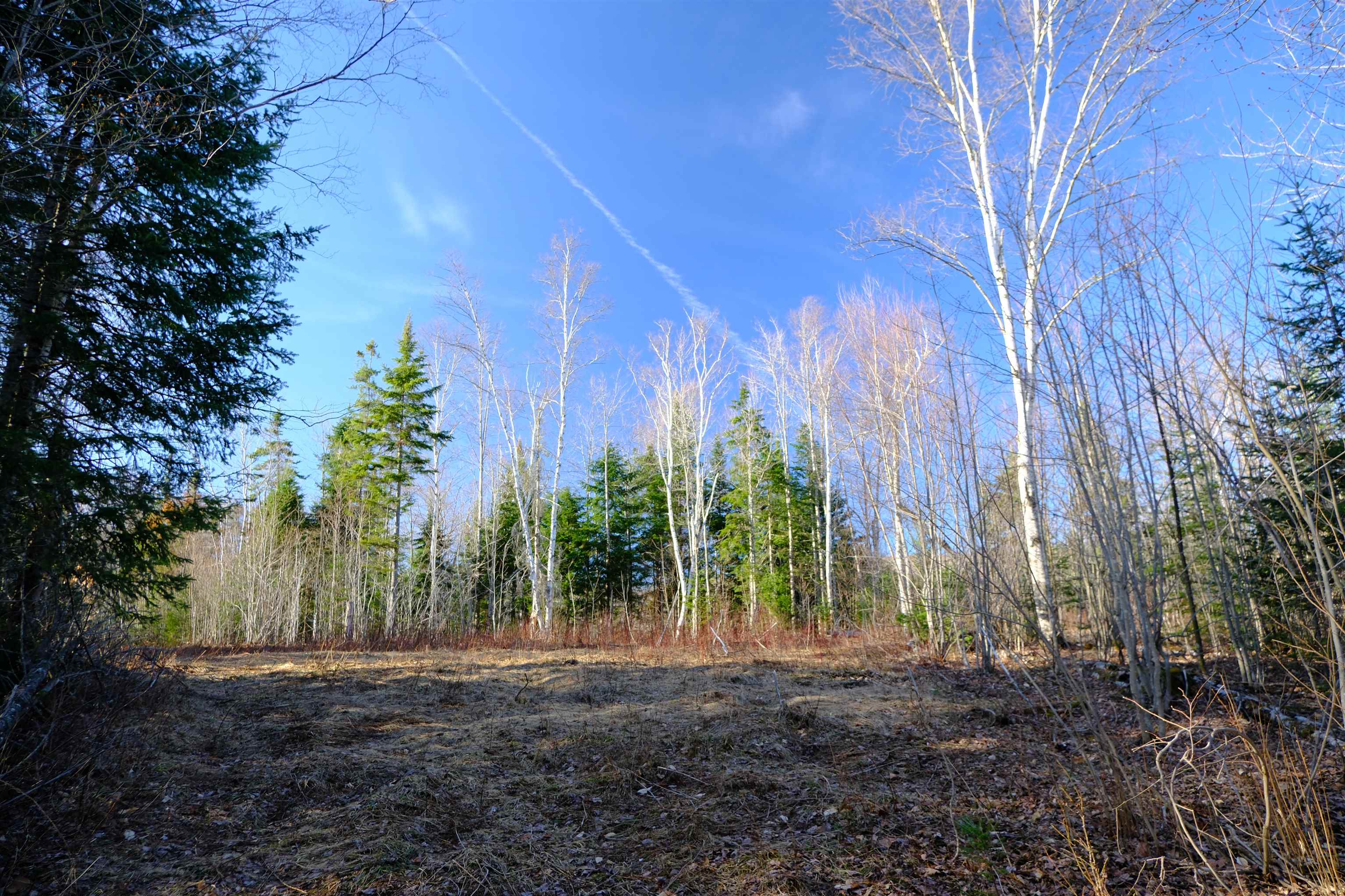208 Drake Pl Road Sheffield, VT 05866 - Photo 7 of 27
