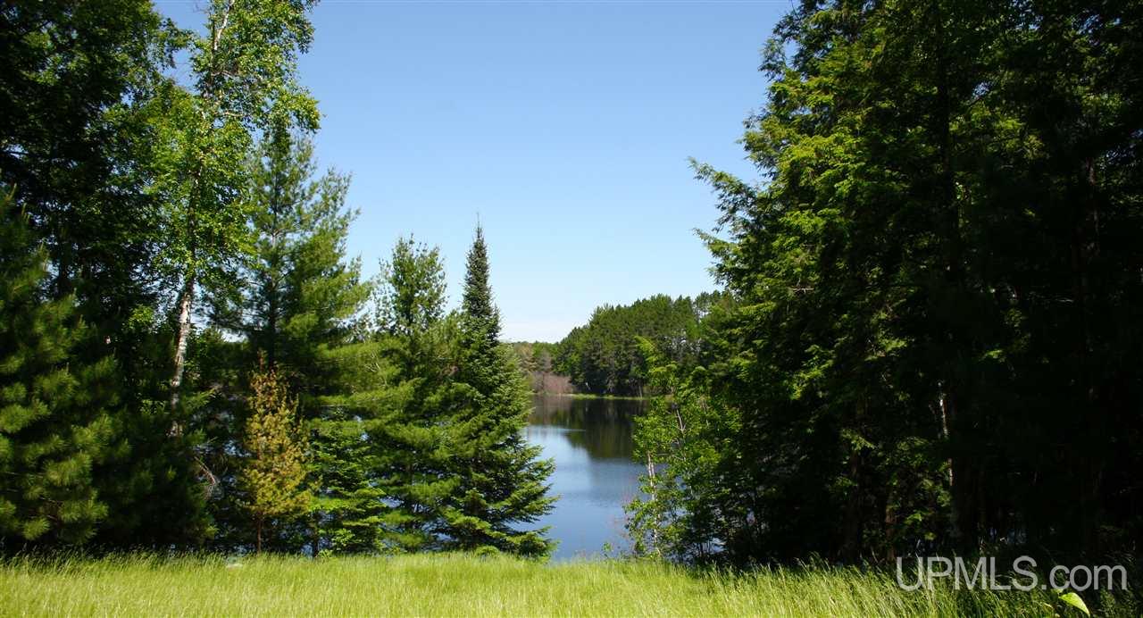 3656 Mud Lake Road Florence, WI 54121 - Photo 2 of 26