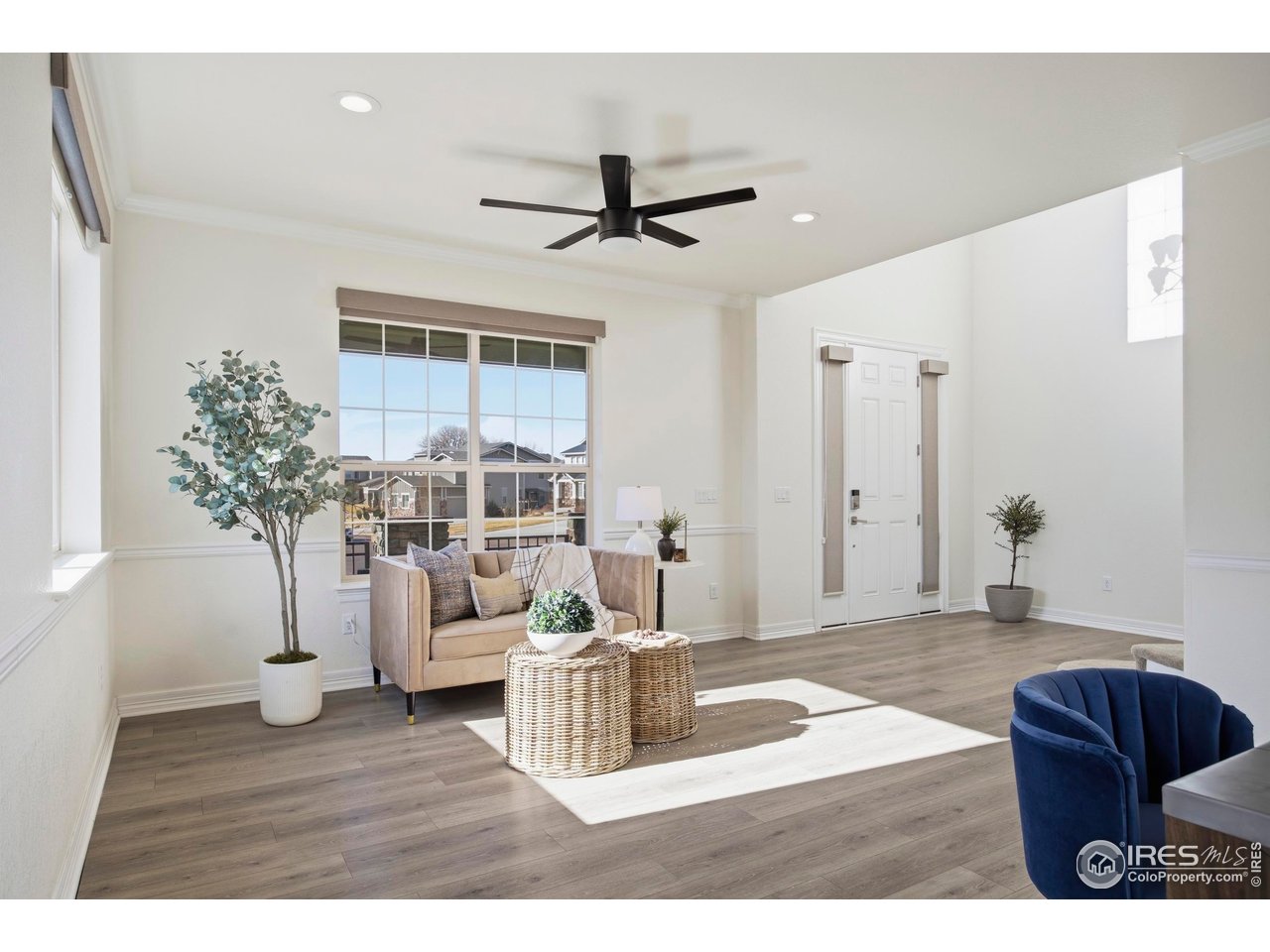 6402 Foothills View Place Fort Collins, CO 80528 - Photo 14 of 50 a living room with furniture and a potted plant