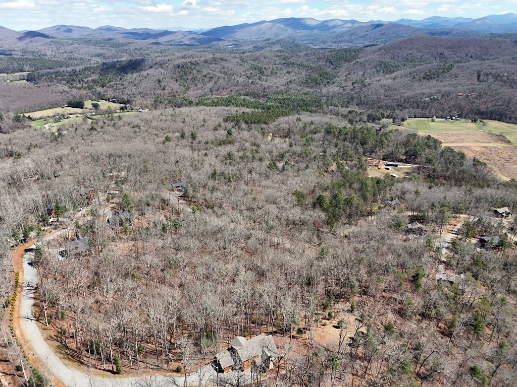 Lot 15 Native Trail Cherry Log, GA 30522 - Photo 10 of 11