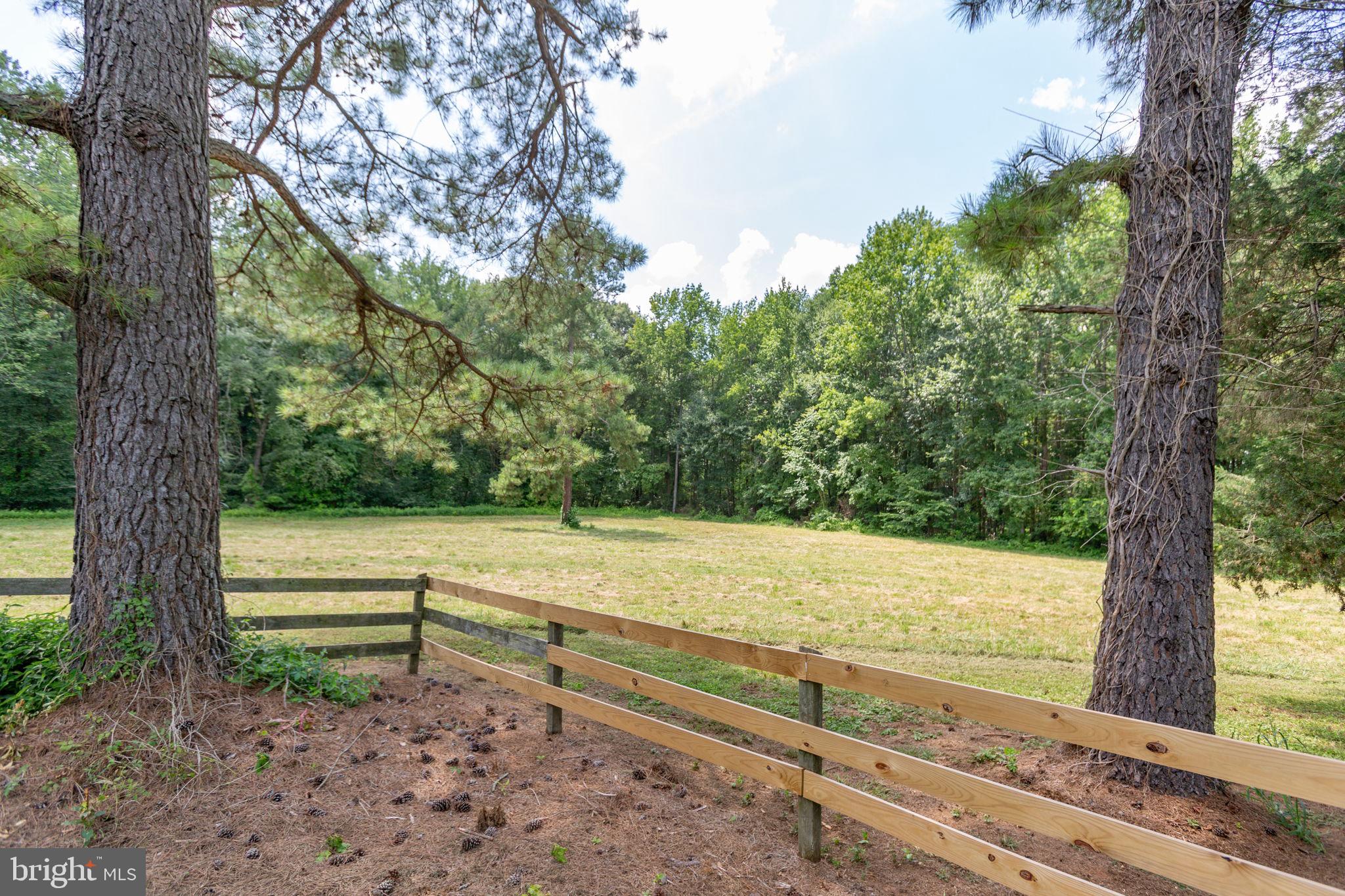18136 Pepmeier Hill Road Fredericksburg, VA 22408 - Photo 64 of 80 a view of a yard with wooden fence