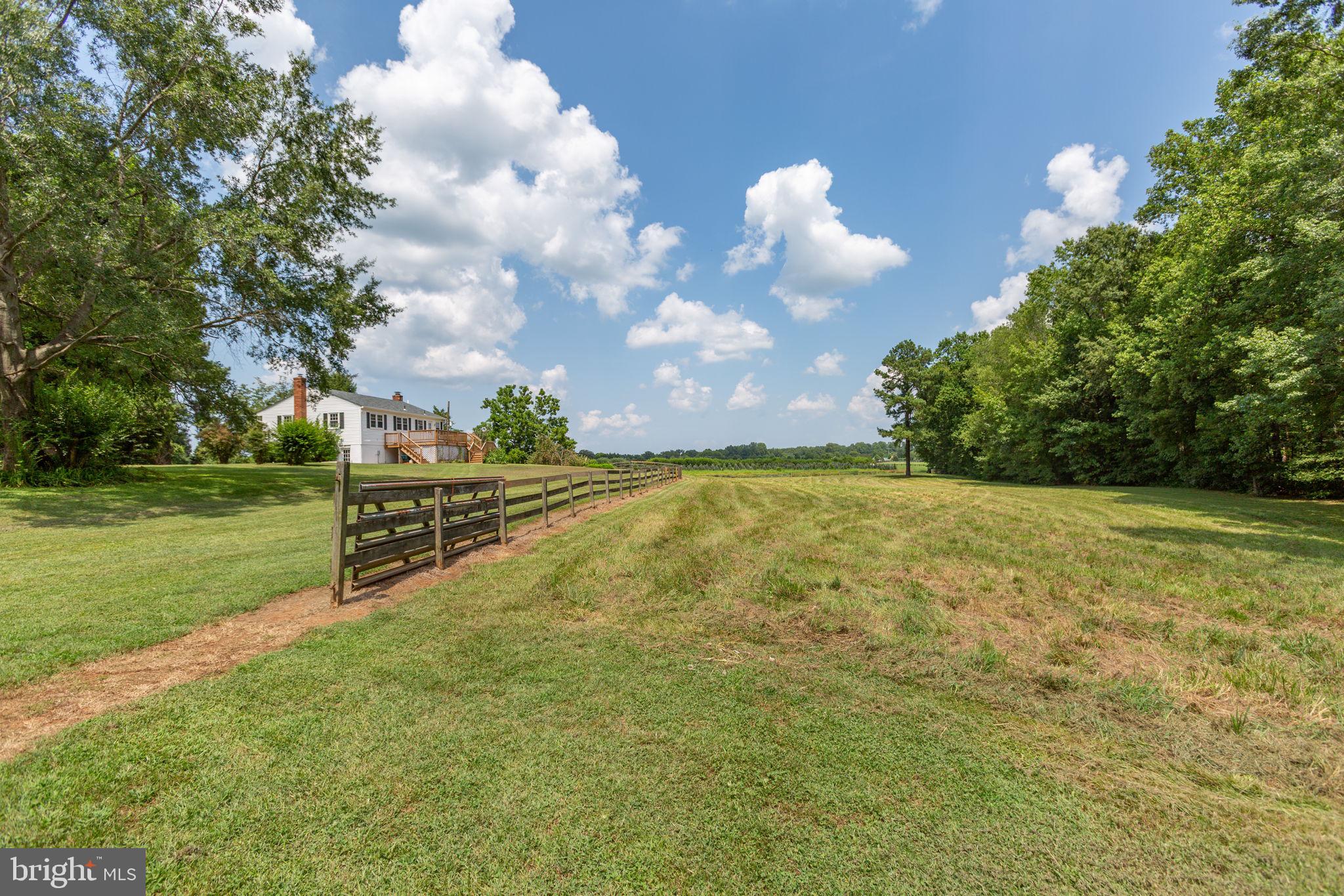 18136 Pepmeier Hill Road Fredericksburg, VA 22408 - Photo 65 of 80 a view of an outdoor space and yard